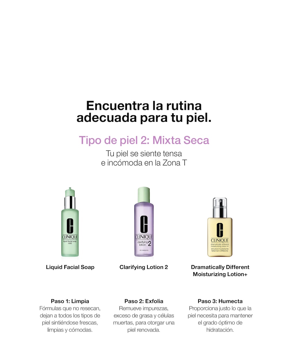 tipo de piel mixta seca