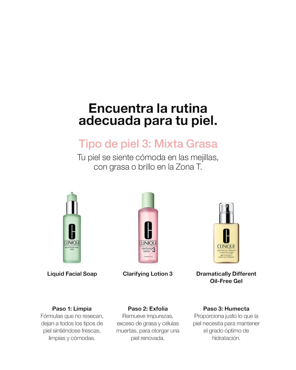 tipo de piel mixta grasa